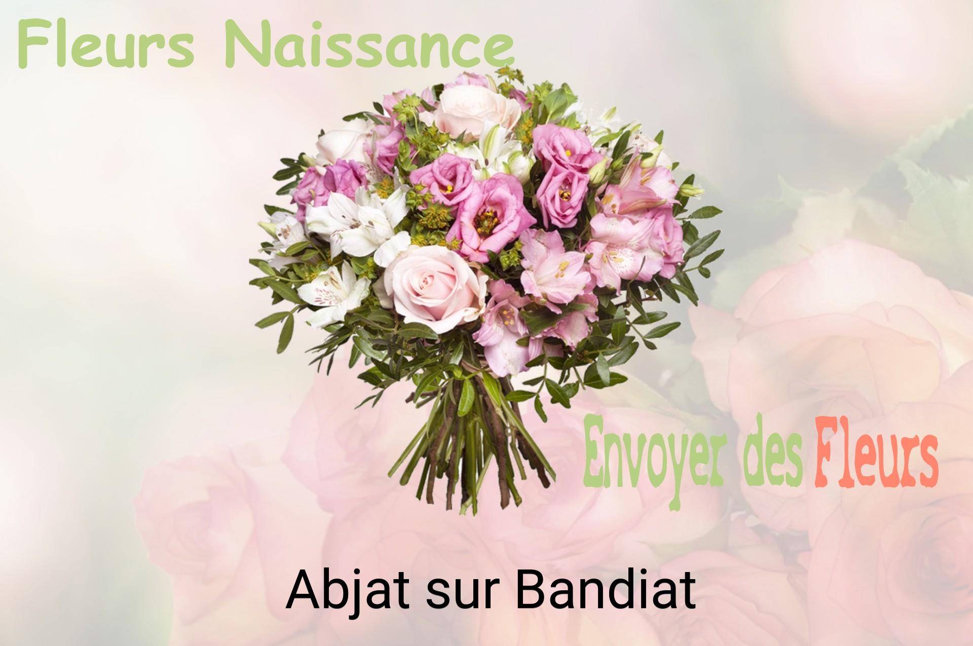 Bouquet de fleurs de naissance livré à Abjat-sur-Bandiat